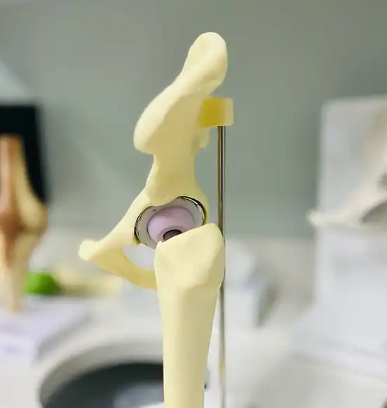 Hip